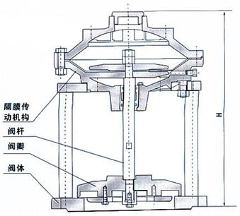 尺寸图